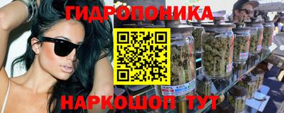 индика Краснокаменск